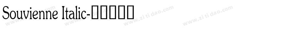Souvienne Italic字体转换